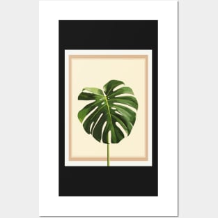 Minimalist Plant Illustration Posters and Art